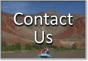 Contact Us (C) Adret LLC